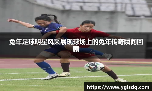 im电竞平台官网